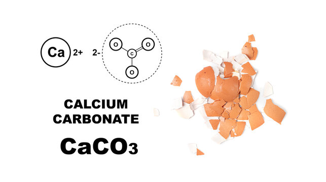 Broken egg shell as calcium carbonate, crushed eggshell, CaCO3 supplement