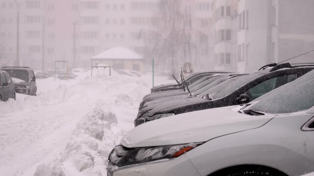 Parked cars with raised wipers during heavy snowfalls, reduced visibility and dense accumulation on windshields, a quiet residential row with snowdrifts and muted flowers - frozen