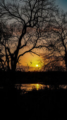 Fototapeta premium A breathtaking African morning sky glows with hues of orange, pink, and gold as the sun rises over the horizon. This stunning landscape image evokes peace and natural beauty, ideal for travel