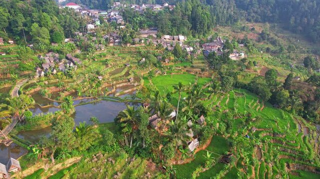 Aerial drone footage of a valley, with traditional rice wooden and thatched barns, terrace rice fields, forests, a lake and mountains behind, in Situmulya village, Lebak regency, Banten, Indonesia