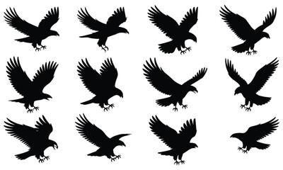 Obraz premium Collection of twelve different black eagle silhouettes in various flying positions with outstretched wings and sharp talons isolated on a white background showcasing diverse flight patterns and angles