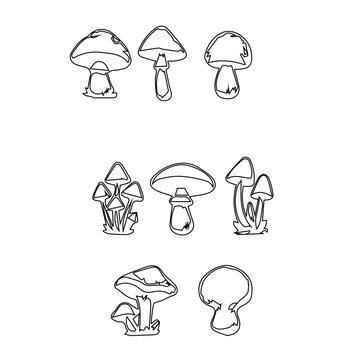 A collection of simple line art illustrations featuring various mushroom shapes and sizes, isolated on a transparent background for easy integration into designs and projects.