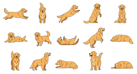 Collection of golden retriever dogs in various poses like running sitting and playing highlights their friendly nature.