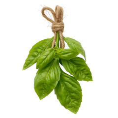 Fresh basil and mint leaves on white background