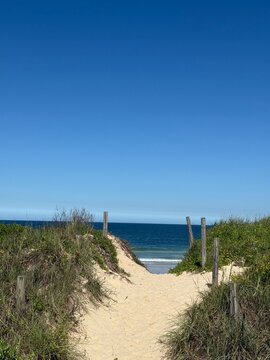 Sandy Beach Pathway Leading to the Ocean