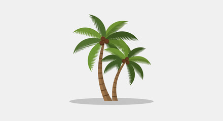 Two Palm Trees with Coconuts on a White Background