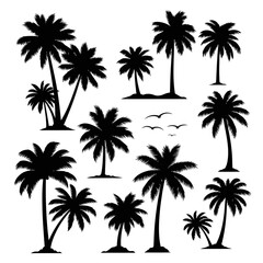 Tropical Palm Tree Silhouettes Collection - Tropical Beach and Island Vegetation