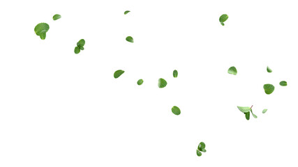 Flying mint leaves isolated 3D render © S_Designs