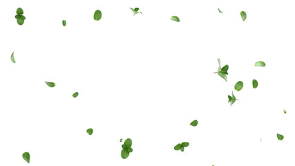 Flying mint leaves isolated 3D render © S_Designs