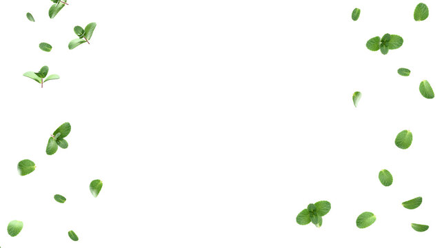 Floating mint leaves transparent PNG 3D render