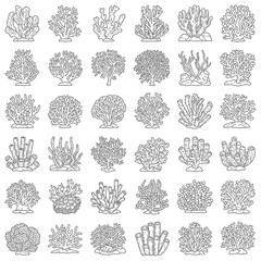 Collection of coral reef illustrations. © syarifah