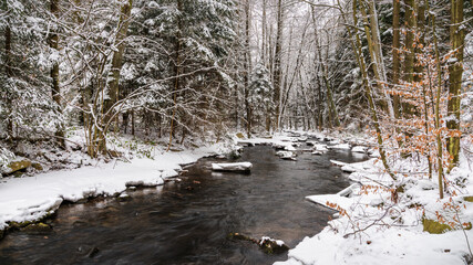 winter at the Bahre stream - Winter an der Bahre