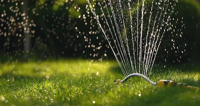 Automatic lawn irrigation system spraying water on green grass