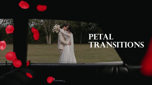 Valentine Petal Transitions