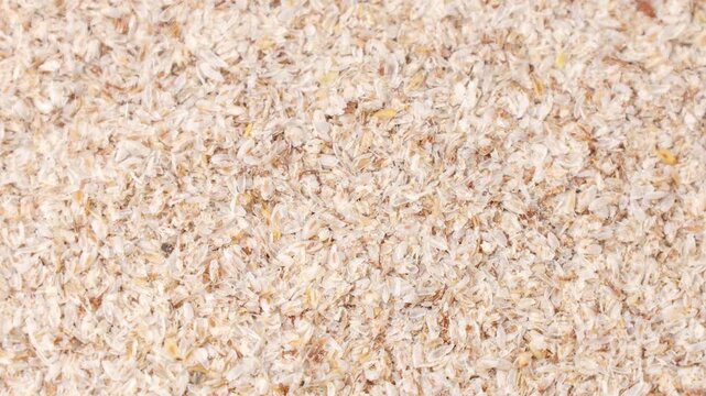 Psyllium husk (Ispaghula) texture circle rotation close up. Dietary fiber product