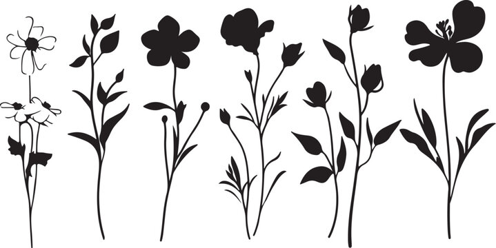 Vintage black and white floral vector design featuring a nature pattern of flowers, grass, and leaves with an elegant butterfly ornament silhouette for artistic summer decoration