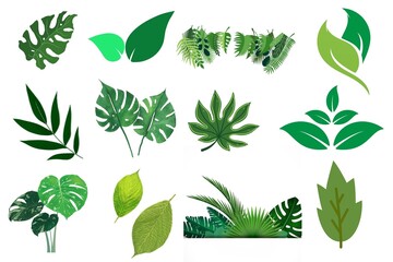 Green Tropical Leaves Vector Set Botanical Nature Elements Isolated on White