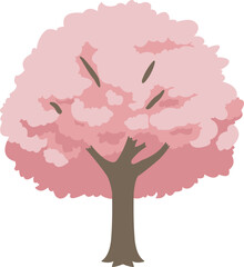 cherry blossom tree