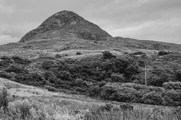 A mountain is in the background of a black and white photo