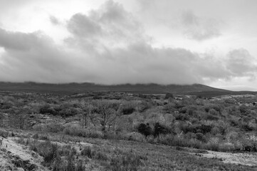 A black and white photo of a field with a cloudy sky