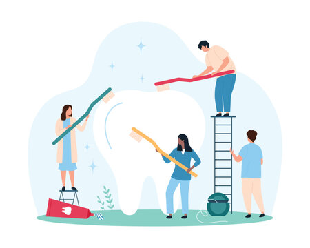 Professional teeth cleaning in stomatology clinic, daily hygiene. Tiny people wash big tooth with toothbrush and toothpaste, clean healthy molar with dental floss and paste cartoon vector illustration