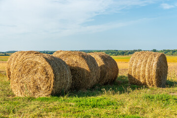 Bright golden hay bales rest in a lush green field, showcasing the peaceful beauty of rural life in the warm afternoon light