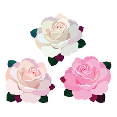 Rose flowers. Vector illustration. Roses in pink color, icons for design. Flower with petals. Love, romance flowers. Vector icons. Love symbol. For gifts, Valentine's Day, birthday, cards, decoration