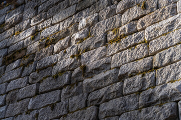 이끼낀 벽에 비춰지는 빛