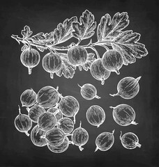 Gooseberry branch and pile of berries. Chalk sketch on blackboard background. Hand drawn vector illustration. Vintage style.