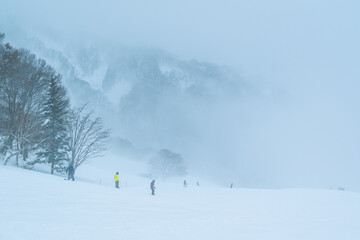 Skiers during a cold foggy day in the mountains of Niigata, Japan. People skiing in a famous ski resort during the peak of the winter.