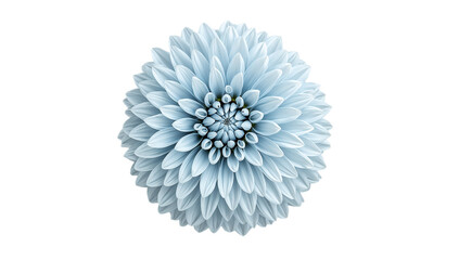 A stunning blue-hued flower with dense, perfectly formed petals, displaying exquisite radial symmetry and pristine, almost three-dimensional beauty on a pure white background