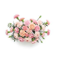 Elegant Carnation Arrangement - A Delicate Floral Display on White.
