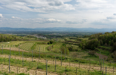Obraz premium Baden-Württemberg - Kaiserstuhl - Oberbergen - Wanderwege