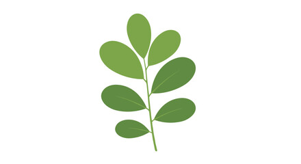 Obraz premium Simple green leaf sprig illustration with multiple oval leaves on a thin stem isolated on a plain white background for botanical design.