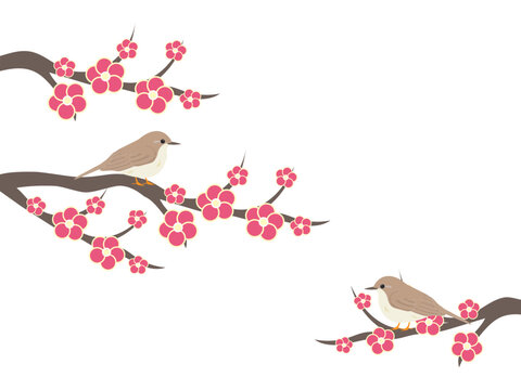 うぐいすと梅の花