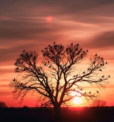 Naklejka premium Birds Silhouette on Tree Branch Against Dramatic Sunset Sky