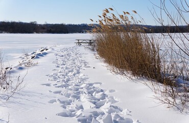 Snowy path leads to picnic table near frozen lake, blending human activity with winter nature near Greenlane Reservoir, Pennsburg, Pennsylvania, U.S