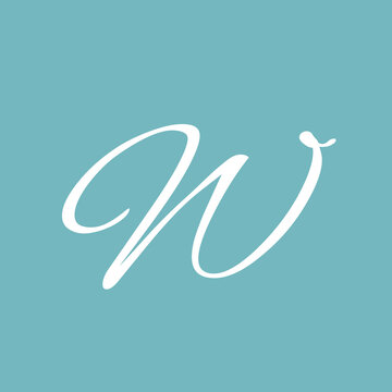 Elegant white script letter w prominently displayed against a soothing teal background creating a beautiful and classic monogram design element for branding needs