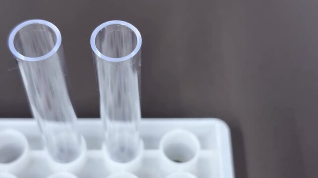 Transparent test tubes in rack on laboratory bench, left composition
