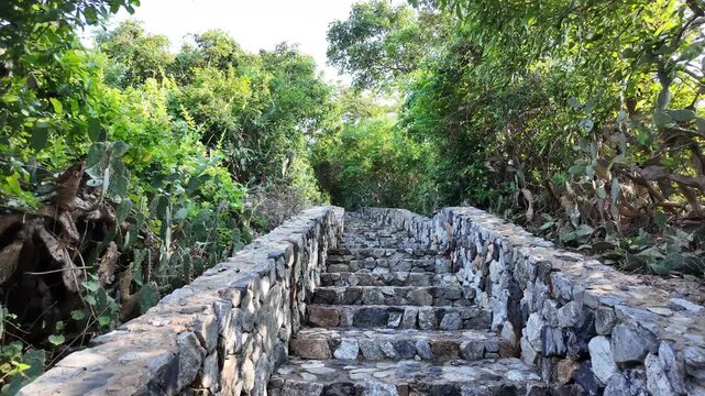 Thailand. Pattaya. October 28, 2024 stone staircase ascending through dense forest greenery leading to open trail