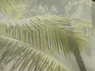 Obraz premium palm tree leaves
