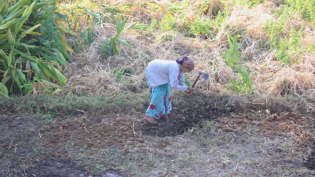 Portrait of a ninety five year old village woman working outdoors symbolizing resilience hard work rural life poverty traditional lifestyle strength and generational farming culture