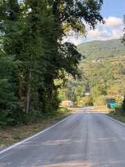 Quiet Country Road Cutting Through Tuscan Forest