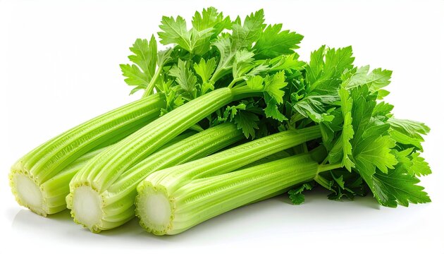 Fresh Green Celery Stalks and Leaves Isolated on White Background with Detailed Texture and Natural Lighting