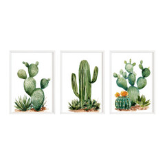 Three watercolor prints featuring various desert cactus plants and succulents arranged beautifully on transparent background
