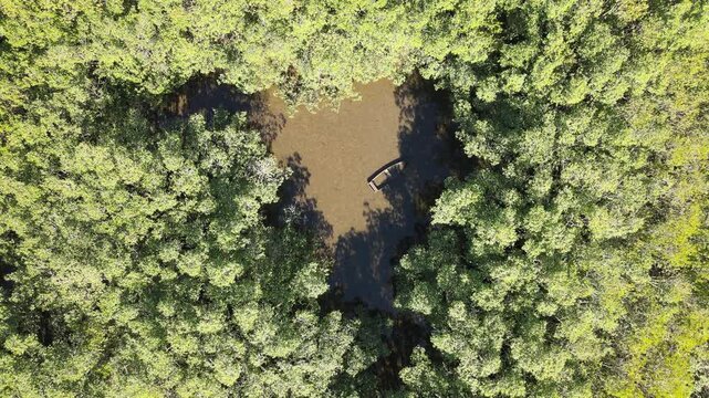 Voo de drone sobre Ilha do Mel do lado de Bras&iacute;lia no Litoral do Paran&aacute; sobre canal fluvial no mangue na mata atl&acirc;ntica em Paranagu&aacute;