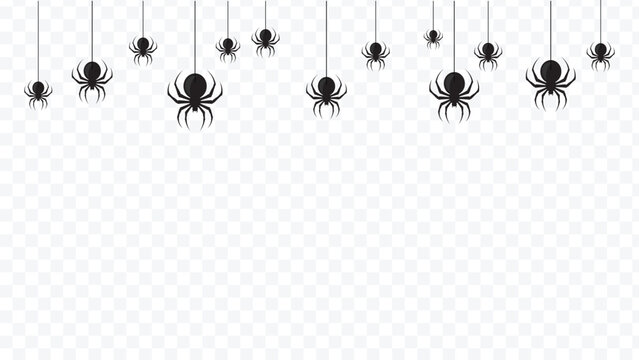 Halloween border background with hanging black spiders on transparent background