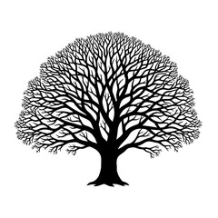 Intricate Silhouette of a Mature Oak Tree with Extensive Branching Against a White Background