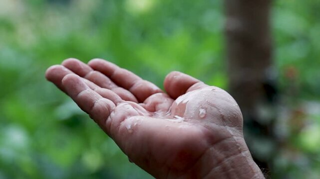 Close up of an open human hand catching rain water outdoors with green natural background symbolizing water conservation sustainability environmental care purity and life