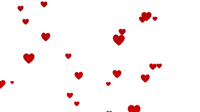 Red hearts flying upwards on white background animation loop